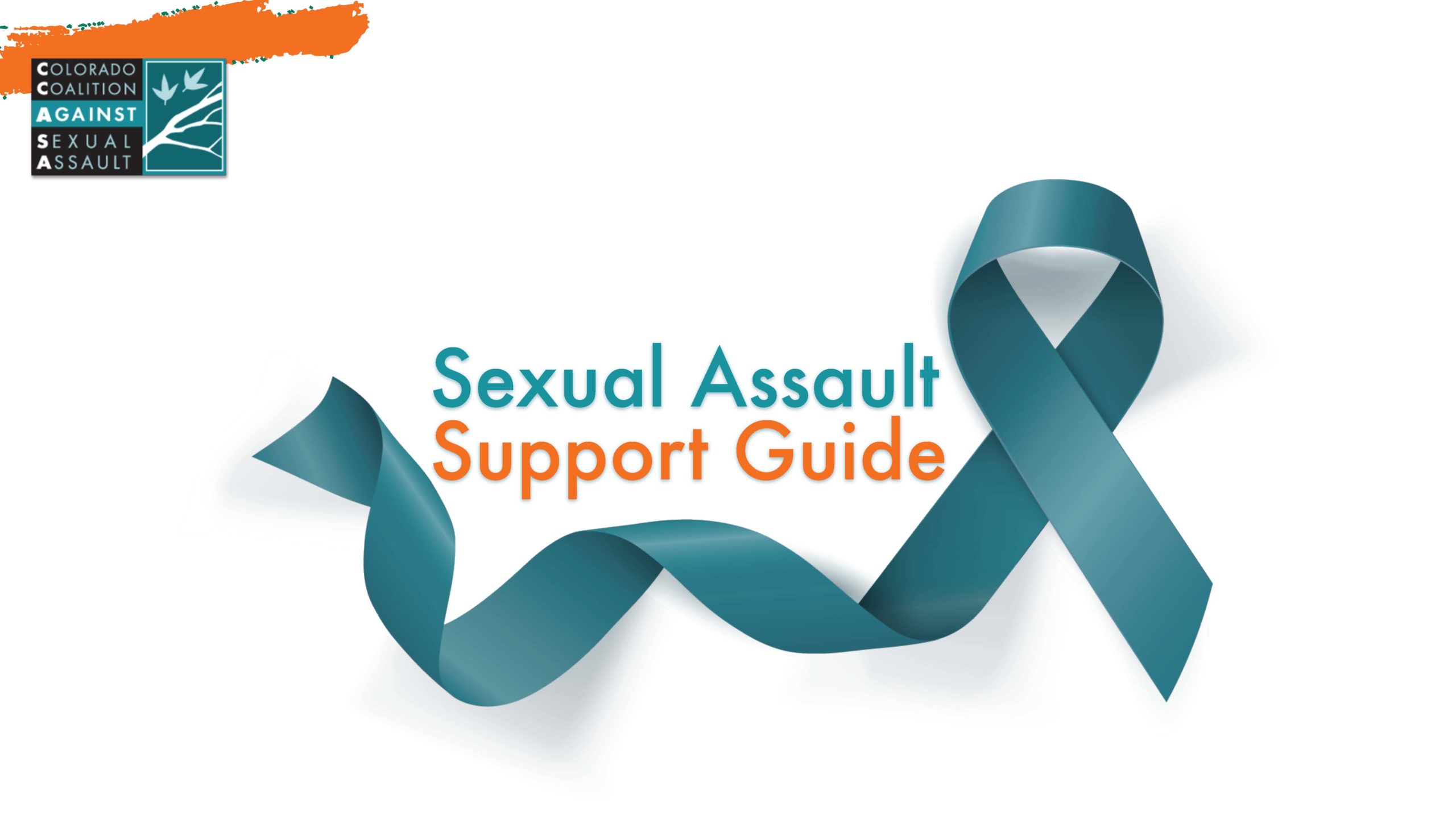 Sexual Assault Support Guide